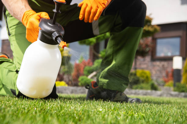 Lawn Pest Control in Sparta, MI